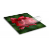Floor Graphics