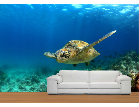 Wall Graphics