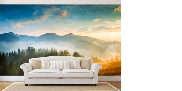 Wall Graphics